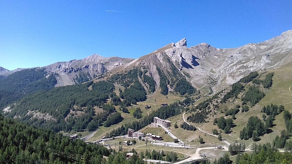 Allos